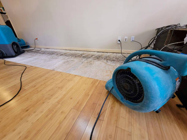 Professional Sewage Cleanup technician working in Squaw Valley, CA